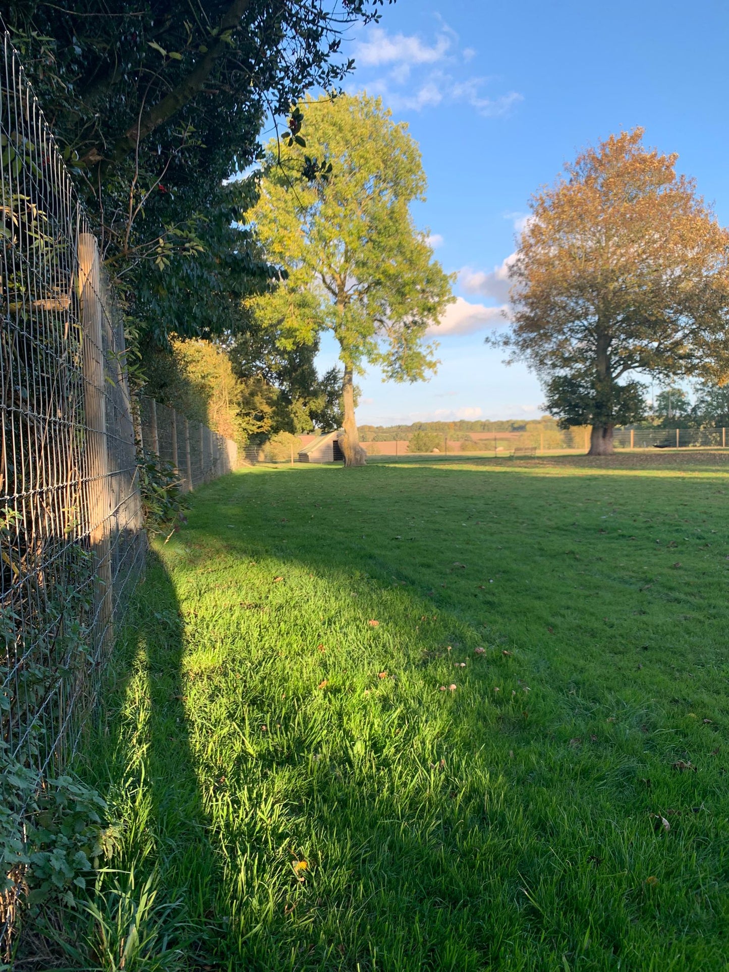 THE OAK LEAF DOG PARK- Secure & Safe Dog Exercise Park