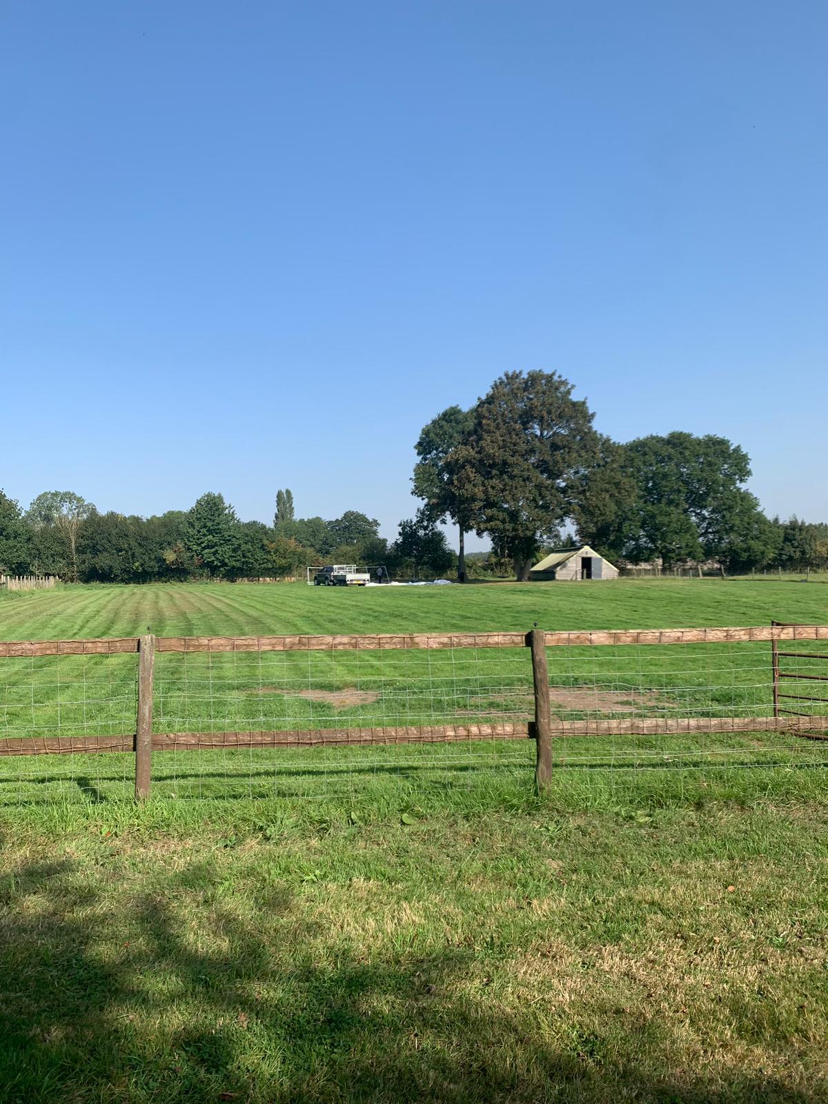 About US – The Oak Leaf Dog Park